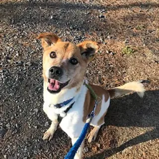 歳を感じさせないはっちゃけおばあ ひまわりちゃん