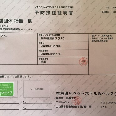 ワクチン1回目