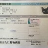 ワクチン2回目