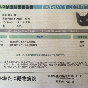 検査結果マイナス