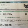 検査結果マイナス