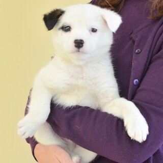 一度見たら忘れない！“アイパンチ君”