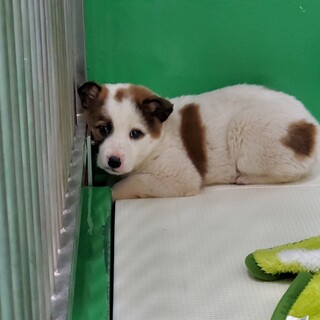 怖がりだけど 幸せになりたい