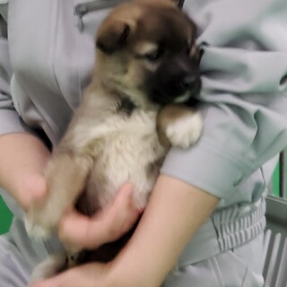 保護されました