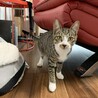 体の小さい子です