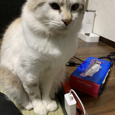 の写真