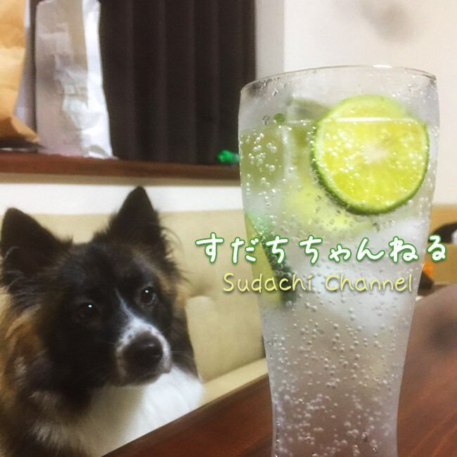 すだちちゃんねるのカバー写真