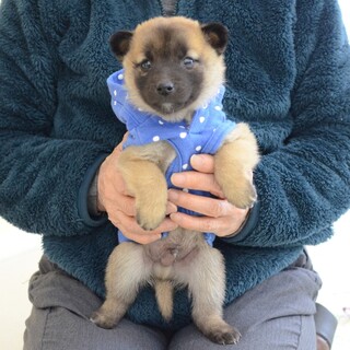 小ぶりサイズ予想！元気いっぱいの“ポン君”