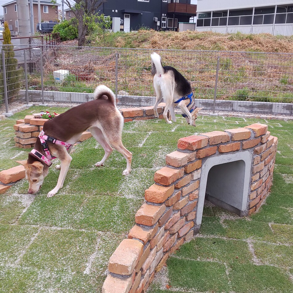カティのカバー写真