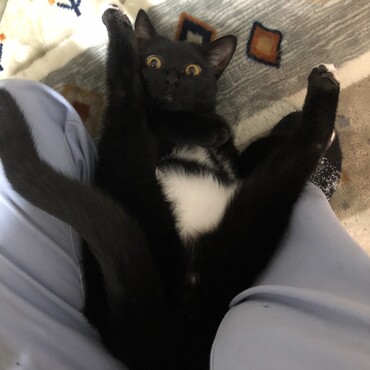 の写真