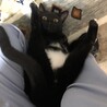 の写真