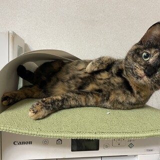 【（仮名）アサリちゃん】一緒にいると超楽しい!