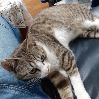 甘えん坊男の子