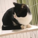 チュールをこよなく愛するハッチ先輩