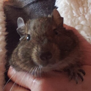 可愛いがってあげて下さい