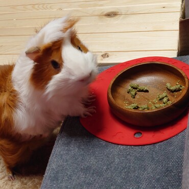 おやつ♪おやつ♪