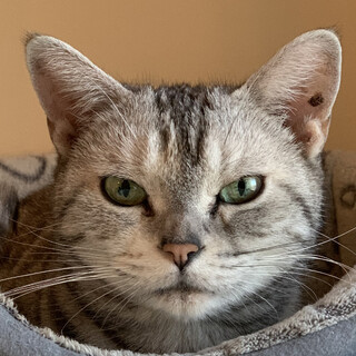 里親様に迎えられました。