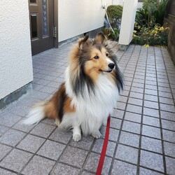 前を向きましょう