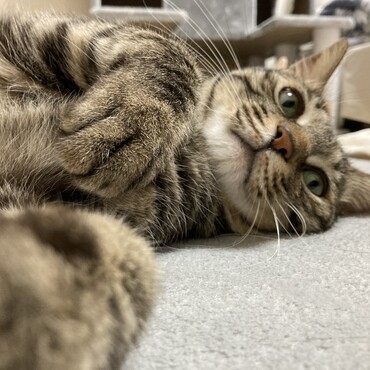 の写真