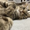 の写真