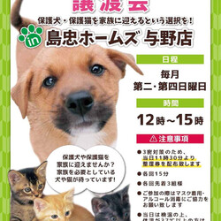 ワンちゃん・ネコちゃん譲渡会 in 島忠ホームズ与野店