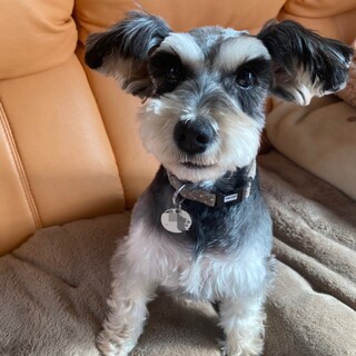 好奇心旺盛☆遊ぶの大好きボナちゃん