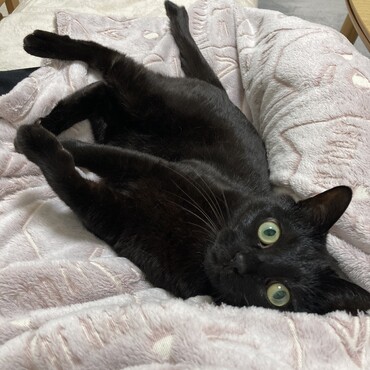 の写真