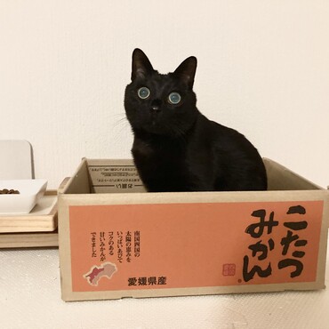 の写真