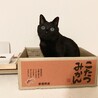 の写真