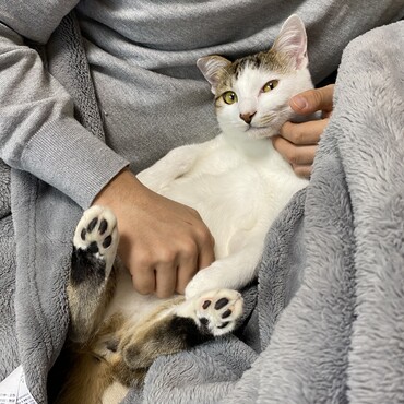 の写真