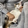 の写真