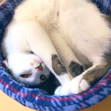 の写真