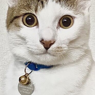 の写真