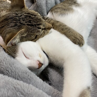 の写真