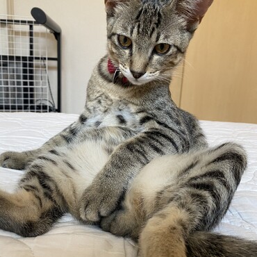 の写真