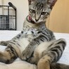 の写真
