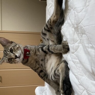 の写真