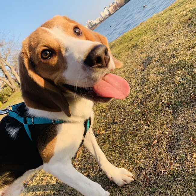 3月14日のカバー写真