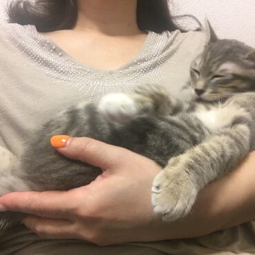 抱っこしながらリモートワーク。。すやすや眠る我が子(笑)