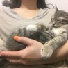 抱っこしながらリモートワーク。。すやすや眠る我が子(笑)
