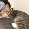 顔にくっくいて寝てくれた❤️