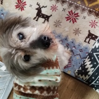 穏やかで優しい寿老さん。