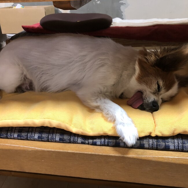 rikuhanacooのカバー写真