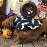 家族が決まりました サムネイル2