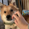 得意のハイタッチ