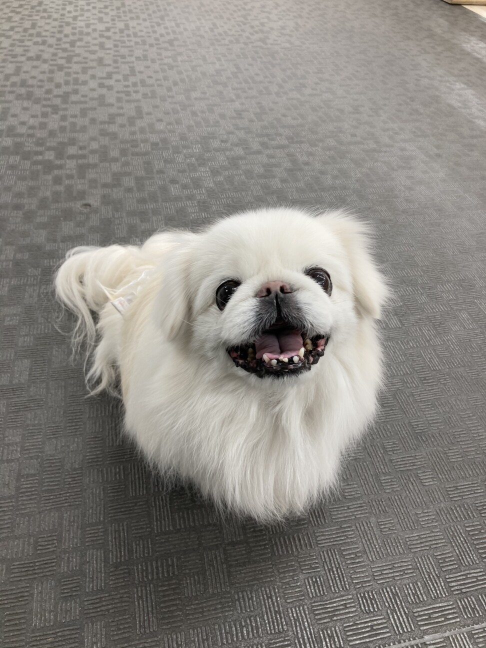 おくら