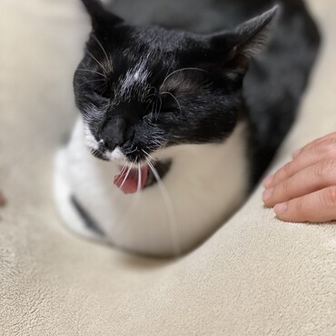 眠い~