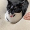 眠い~