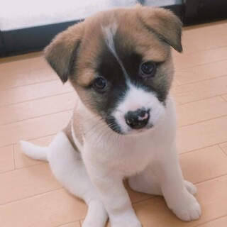 お問合せがあり一旦停止中です。