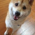 笑顔がチャーミング！おもちゃ大好きこむぎくん！